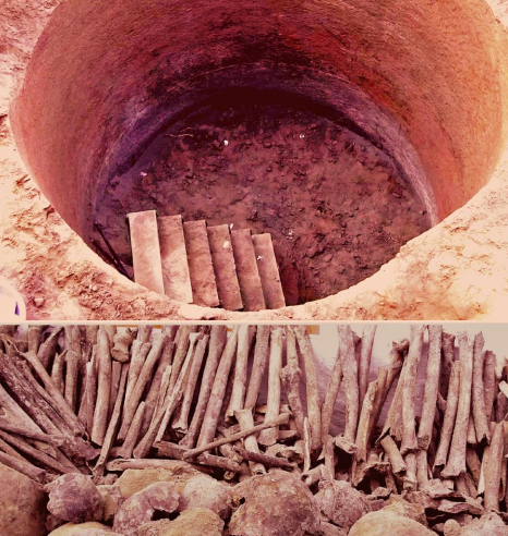 पंजाब के अजनाला के 160 साल पुराने मानव कंकाल गंगा के मैदान मे शहीदों के हैं; आनुवंशिक शोधों का दावा