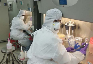Coronavirus cell culture to make vaccines and test drugs at CCMB