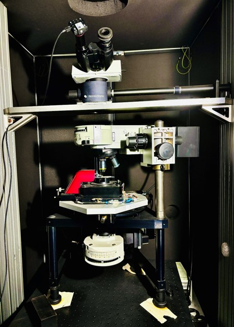 AFM-Raman integrated system